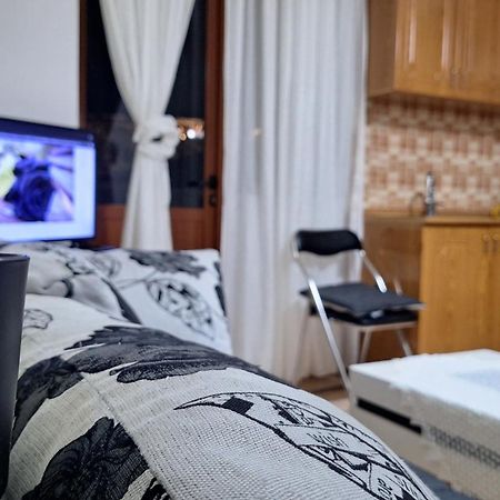 Promenade Apartment In City Centre Berat Extérieur photo